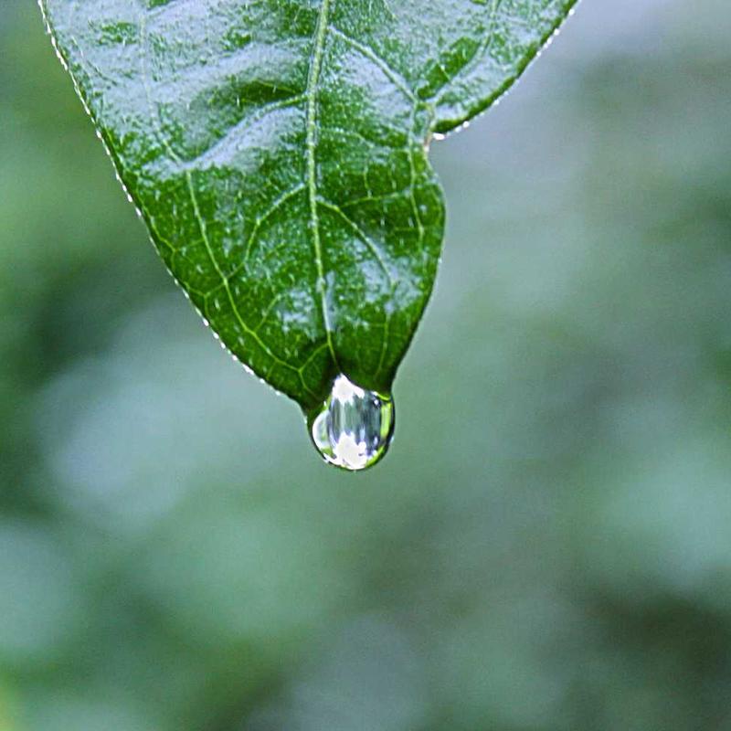glass_alum 3